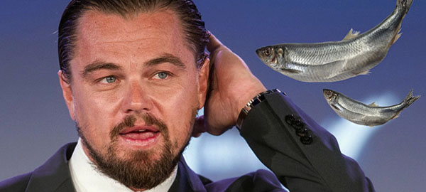Leonardo DiCaprio invierte en comida sostenible