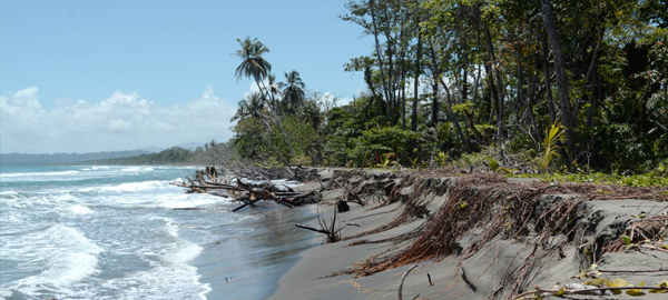 Así afecta el cambio climático al parque natural de Cahuita, Costa Rica