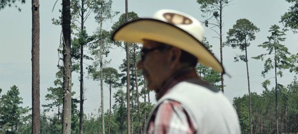 Comunidades indígenas y rurales de México demandan ser tomados en cuenta para decidir sobre sus bosques
