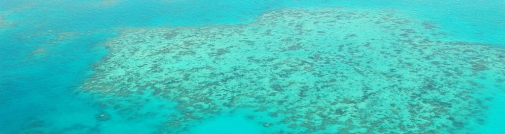Daños sin precedentes en la Gran Barrera de Coral por el cambio climático