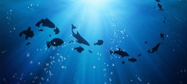 Científicos lusos lanzan un sistema pionero para monitorizar los océanos