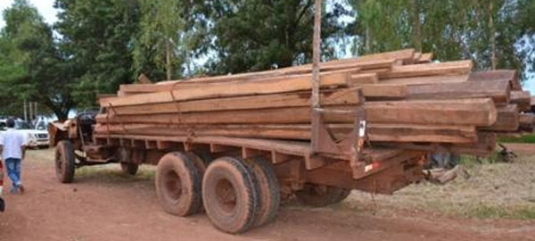 Incautan 30 toneladas de madera extraída ilegalmente en el Amazonas