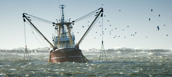 Los subsidios a la sobrepesca y la destrucción de los océanos