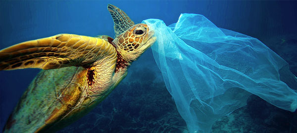 Tiramos al mar 7 millones de toneladas de basura cada año