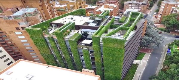 Un jardín vertical de 3 mil metros cuadrados