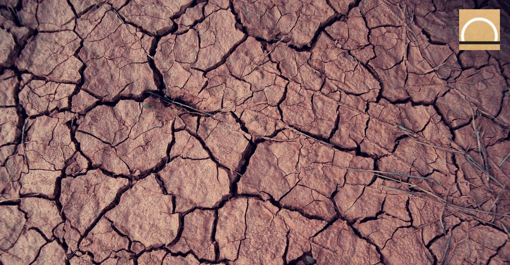 La gestión pública: ¿un nuevo modelo para gestionar la sequía estructural?