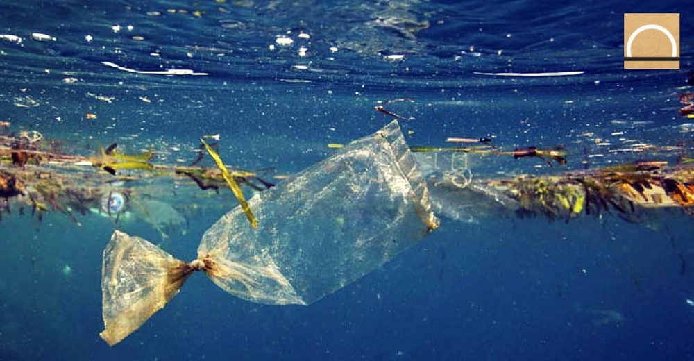 Libera advierte que el 80 % de la basura oceánica proviene del entorno terrestre