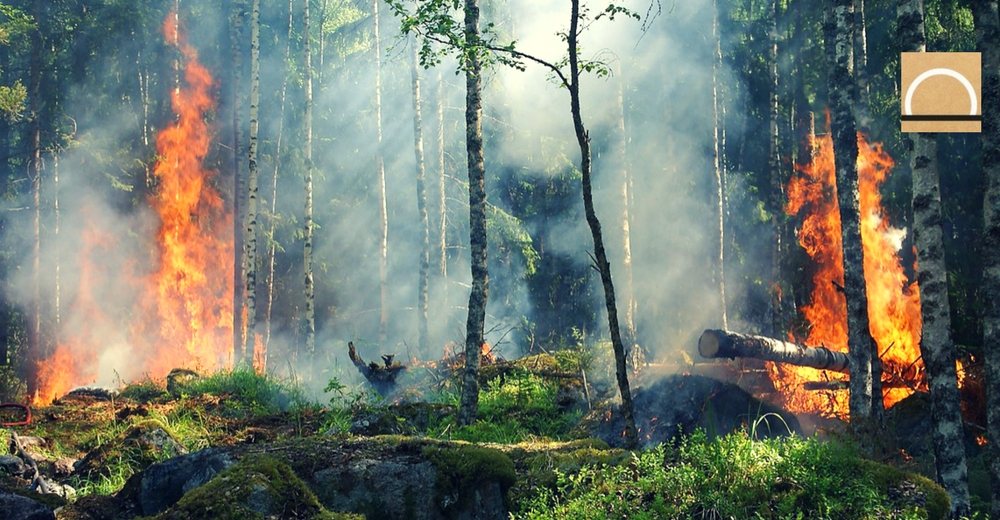 2017 será el año con más incendios forestales de la década