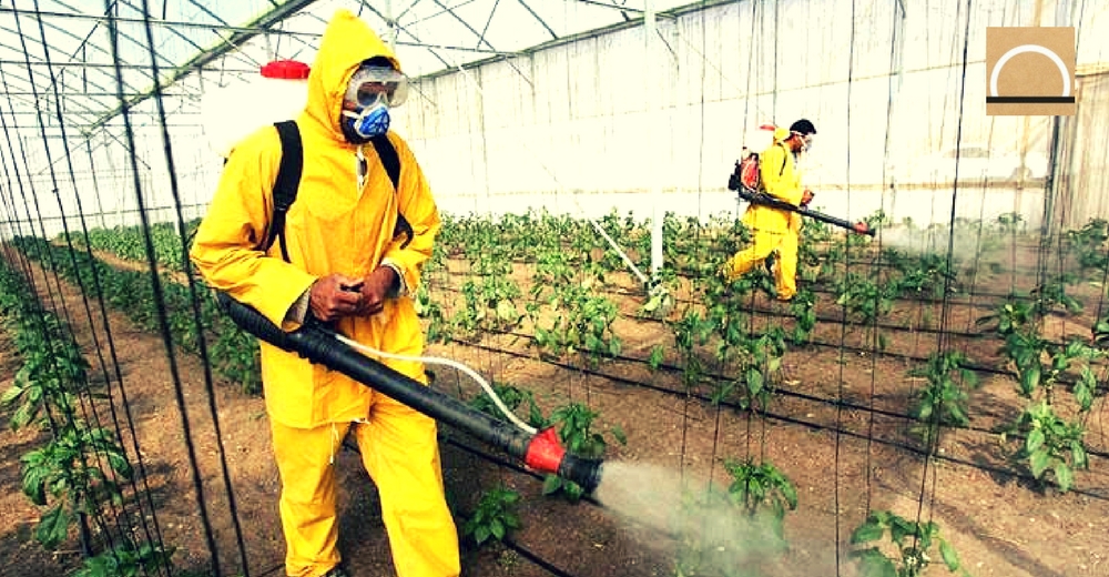 Exigen reducir a la mitad el uso de los pesticidas en España
