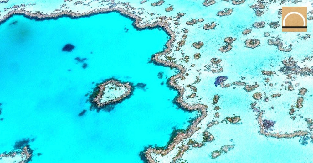 Australia destina 48 millones de dólares al mayor sistema coralino del mundo