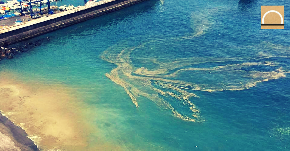 Un barco recogerá las microalgas de las playas de Canarias