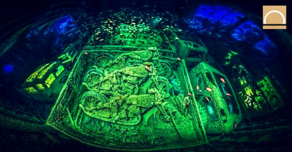 Fotografías submarinas galardonadas por el “Underwater Photographer of the Year”