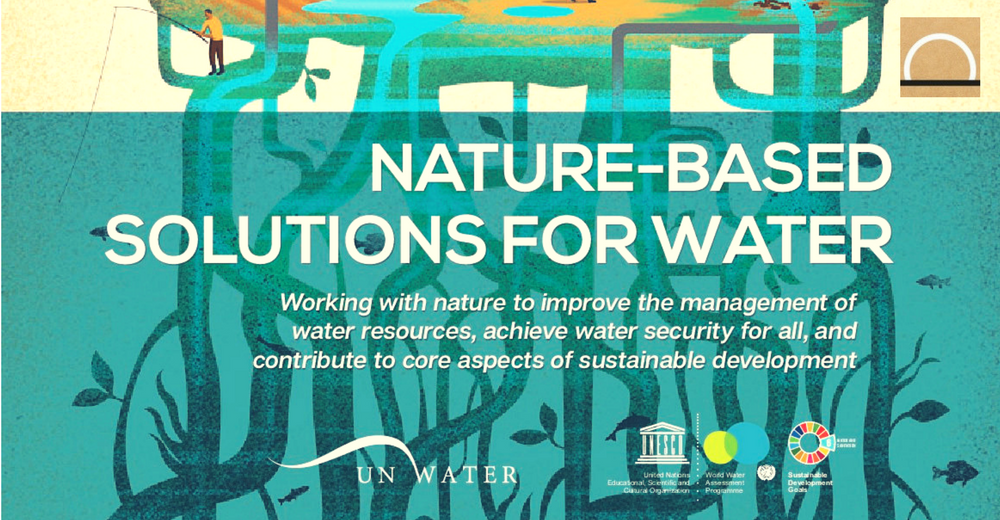 El Informe de WWDR en el Foro Mundial del Agua