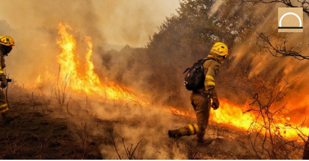 Los incendios forestales descendieron un 61% este año
