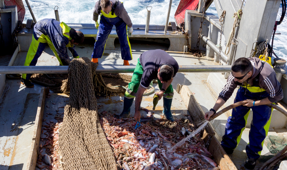 La primera fase de RepescaPlas finaliza con 3.000 kilos de basuras marinas recuperadas