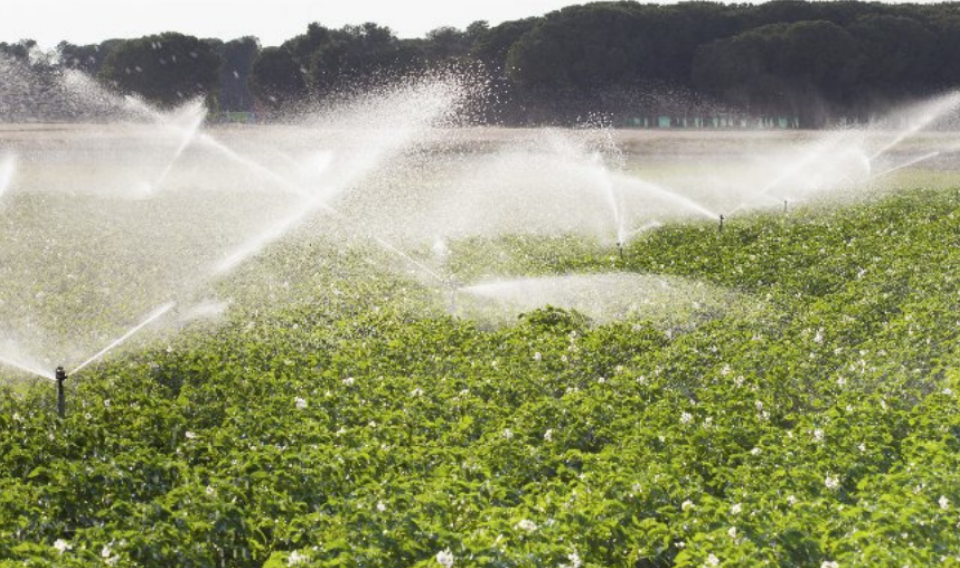 Europa respalda incrementar la reutilización de aguas para riego agrícola