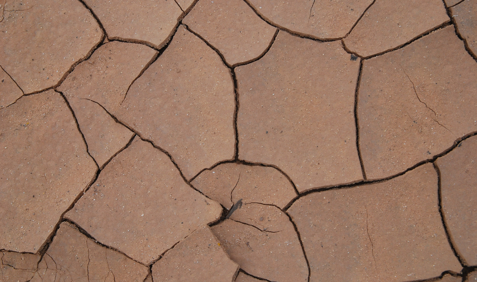 Entender la sequía para combatirla de forma eficiente