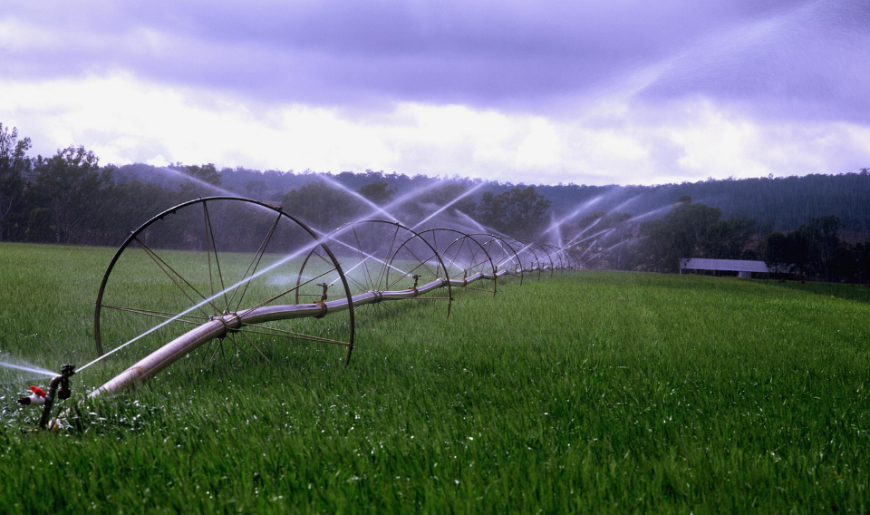 Europa impulsa el uso de agua regenerada para el riego agrícola
