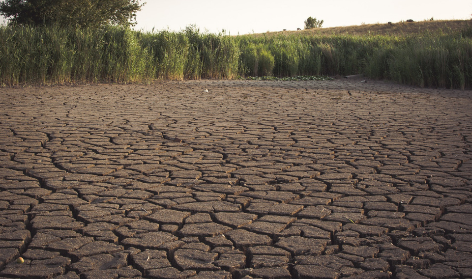 En 2050 la mitad de la población sufrirá escasez de agua