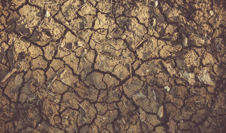 La erosión del suelo compromete la seguridad alimentaria